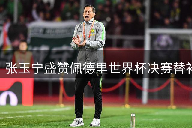 张玉宁盛赞佩德里世界杯决赛替补表现堪称完美