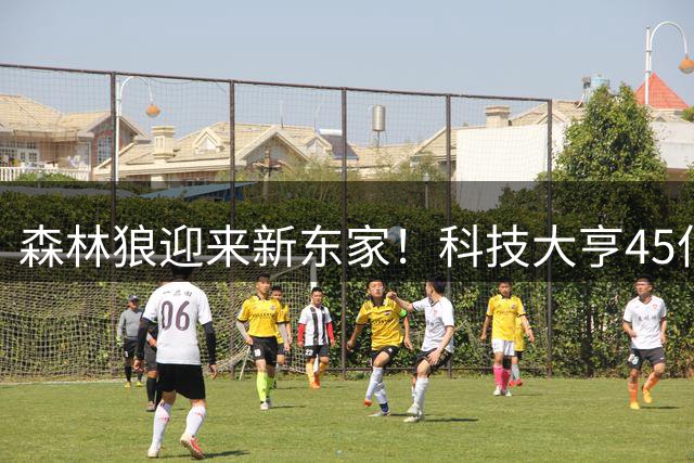 森林狼迎来新东家！科技大亨45亿入主引热议